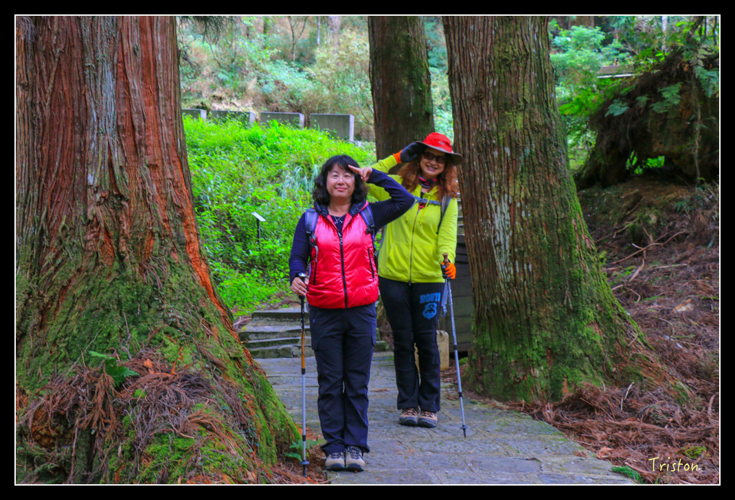 IMG_9409.jpg - 20151130 小笠原山、對高岳