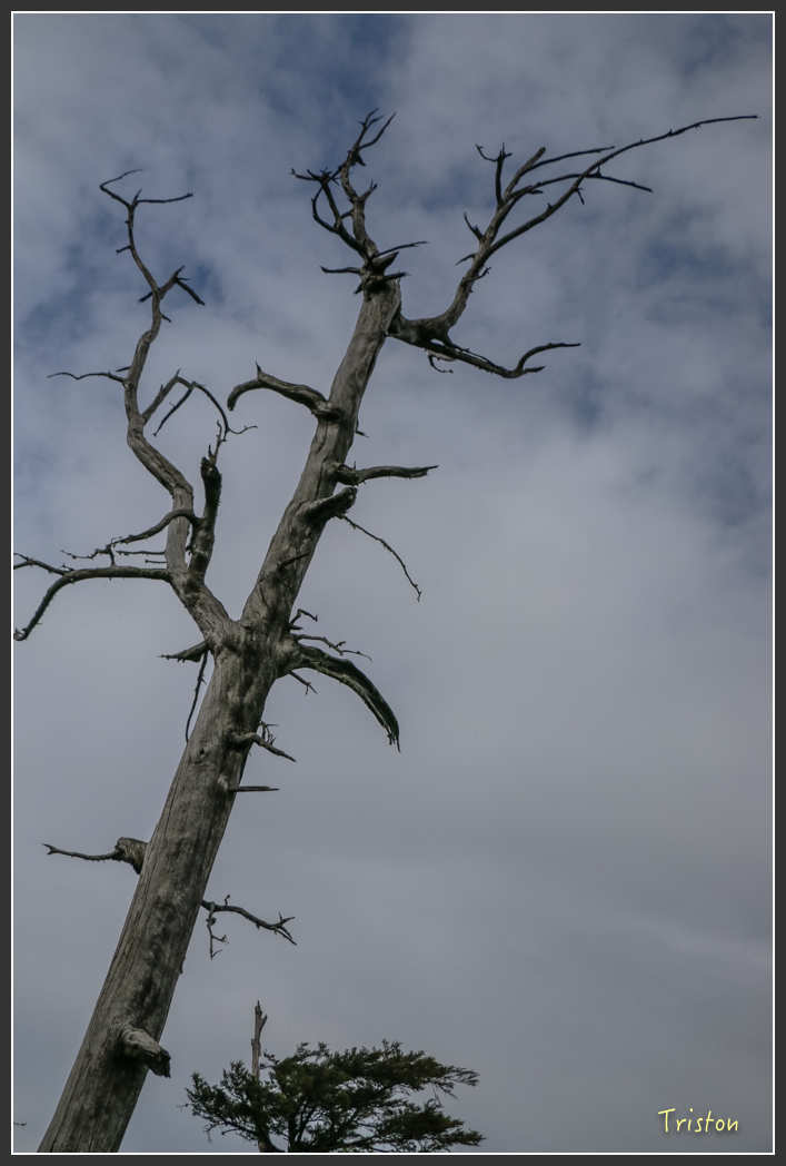 IMG_1063.jpg - 20151219 鳶嘴稍來山、小雪山林道