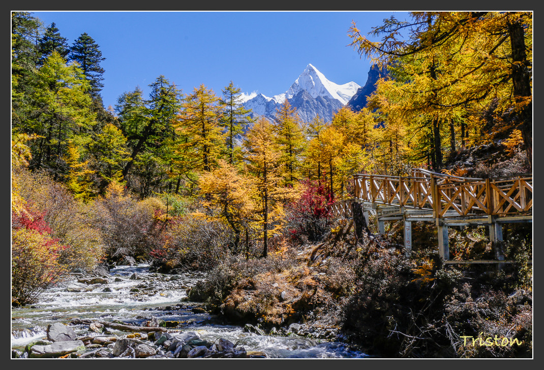 _MG_2277.jpg - 20161013 稻城亞丁