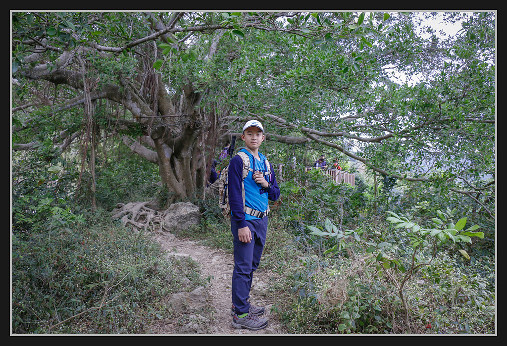 _MG_0012.jpg - 20170205 柴山盤榕雅座路線