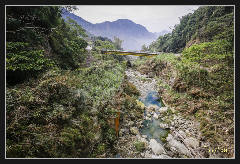 _H1A2476.jpg - 20170311 草嶺