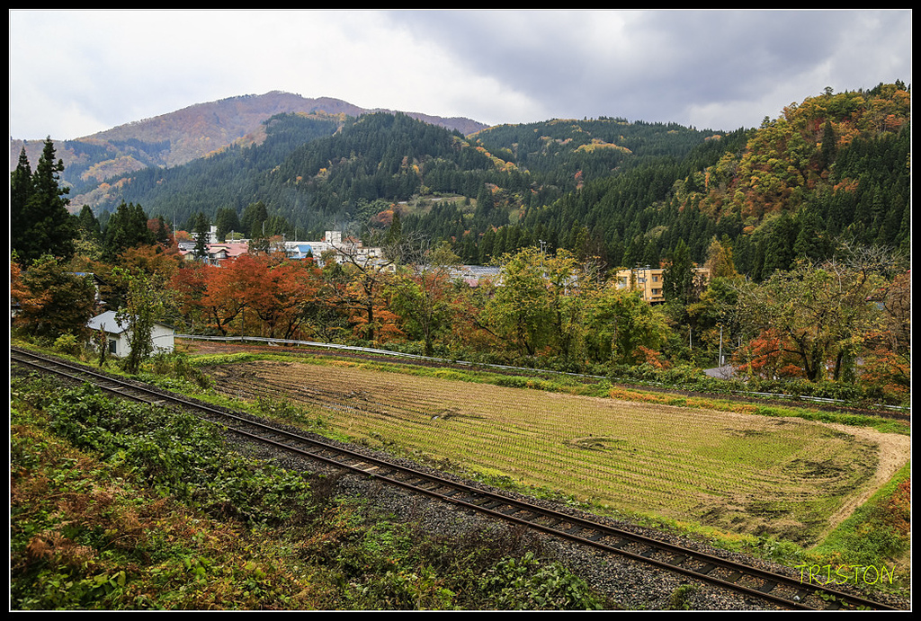 _H1A0646.jpg - 20171103 日本只見線、會津若松五色沼、昭和記念公園賞紅葉