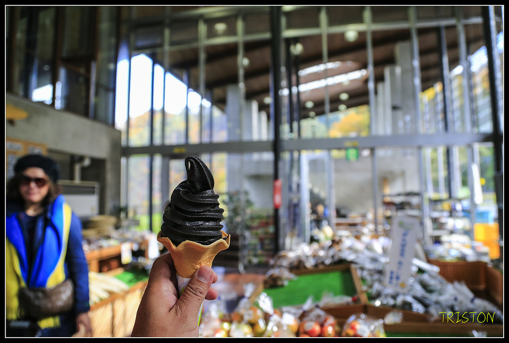 _H1A0610.jpg - 20171103 日本只見線、會津若松五色沼、昭和記念公園賞紅葉