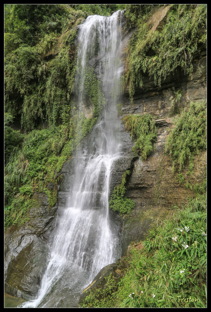 JH1A9966.jpg - 20151005 竹坑溪步道