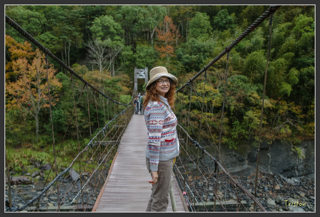 JH1A1174.jpg - 20151221 新竹秀巒賞楓