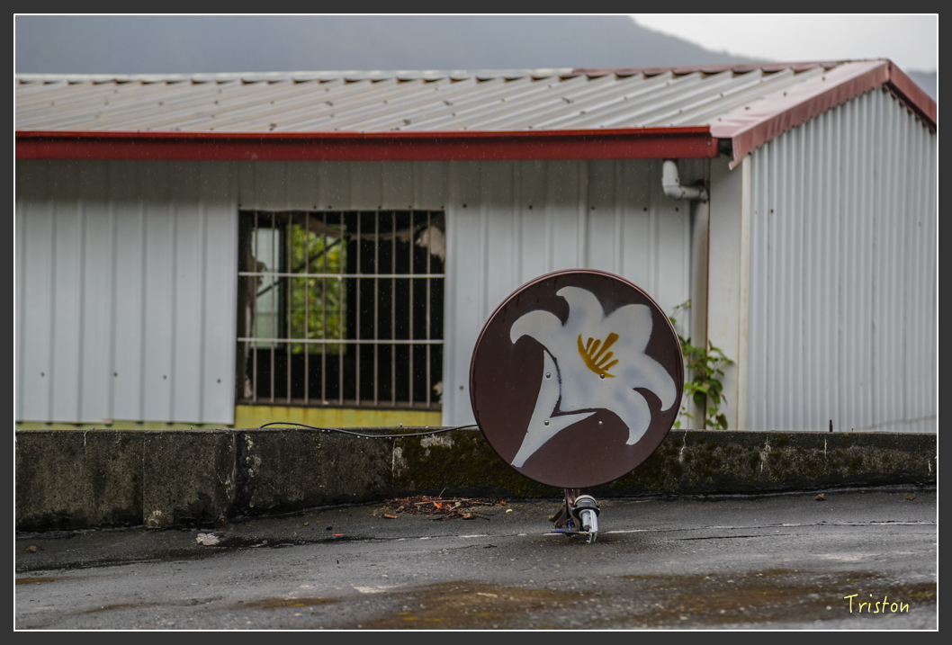 JH1A8142.jpg - 20160111 吉露、阿禮部落