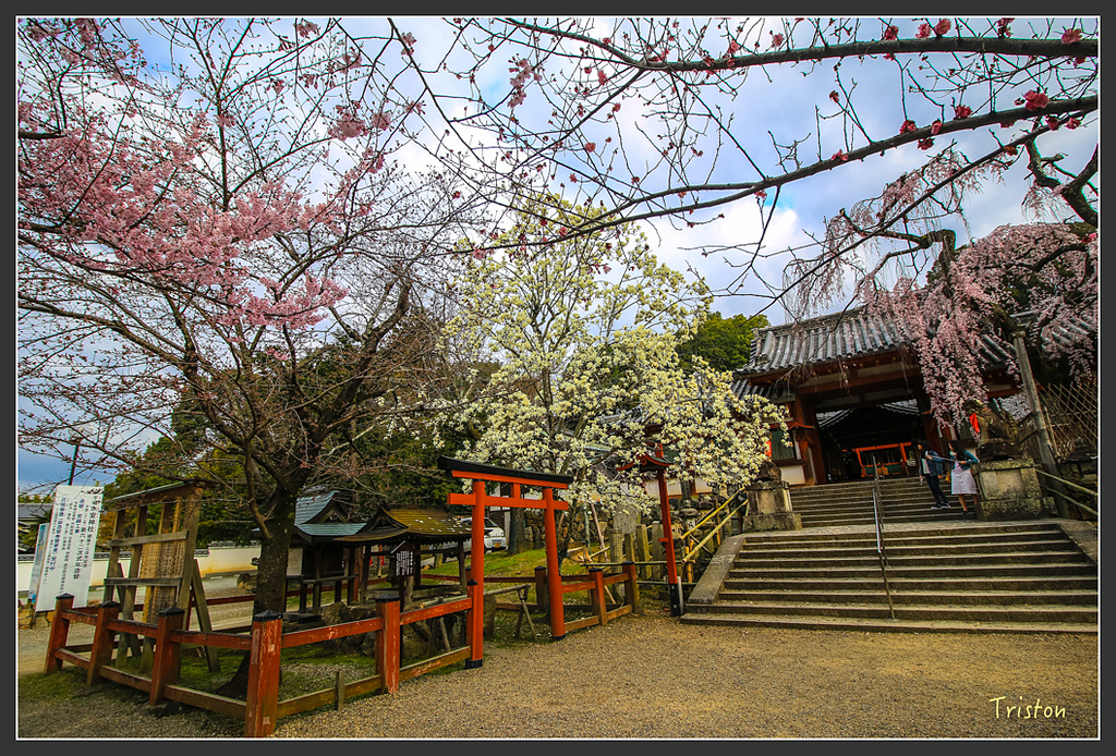 IMG_4296.jpg - 20160323 日本熊野古道健行