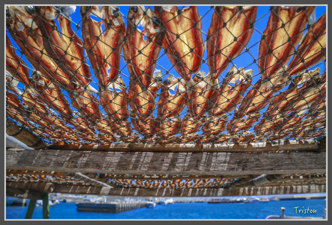 JH1A1491.jpg - 20160701 澎湖