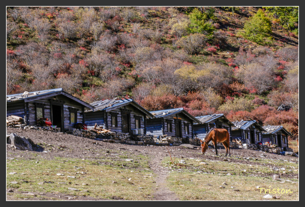 _MG_1905.jpg - 20161013 稻城亞丁