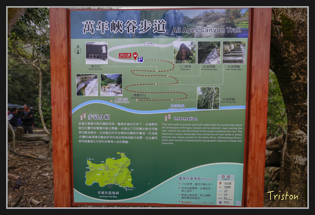 _H1A2439.jpg - 20170311 草嶺