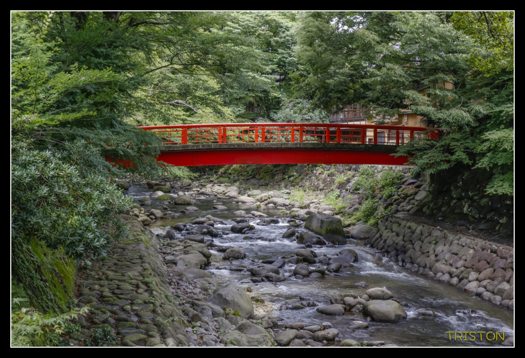 _MG_1208.jpg - 20170702 靜岡東海道之旅