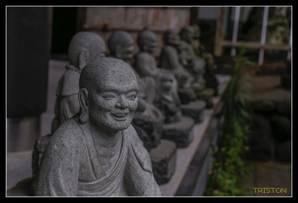 _MG_1145.jpg - 20170702 靜岡東海道之旅