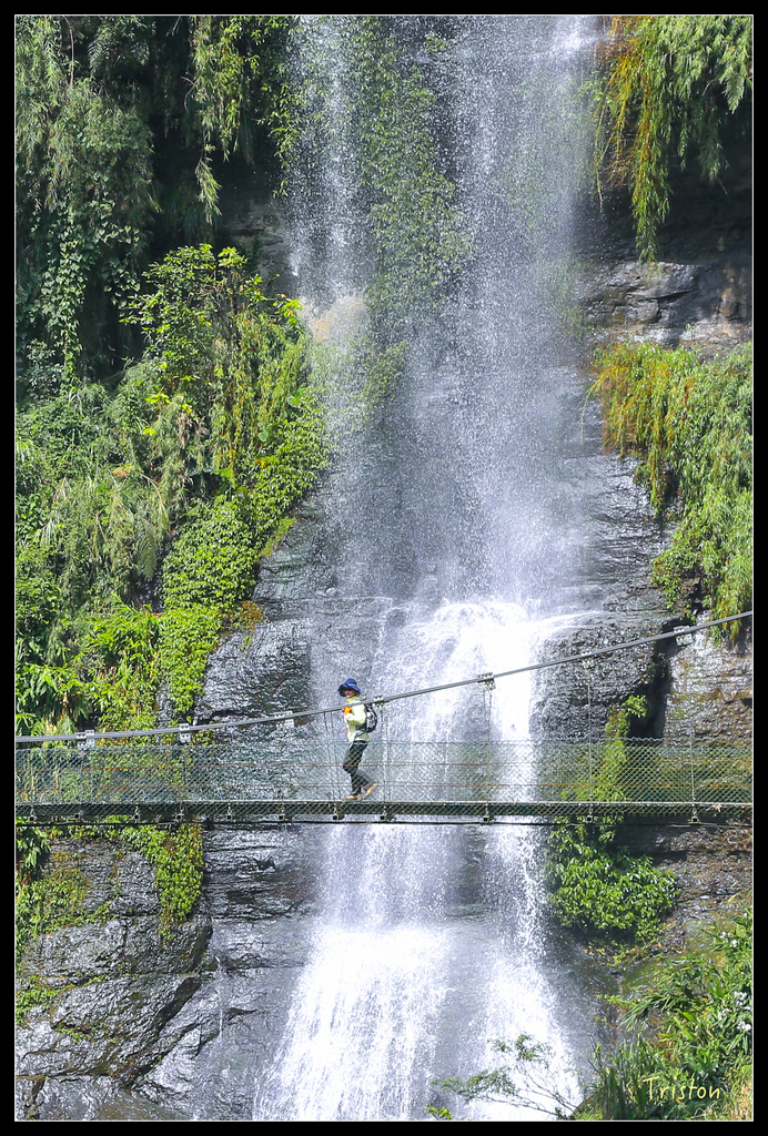 JH1A9932.jpg - 20151005 竹坑溪步道