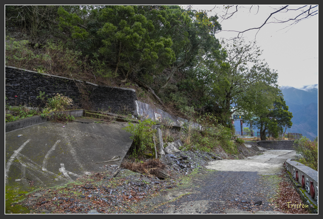 JH1A8147.jpg - 20160111 吉露、阿禮部落