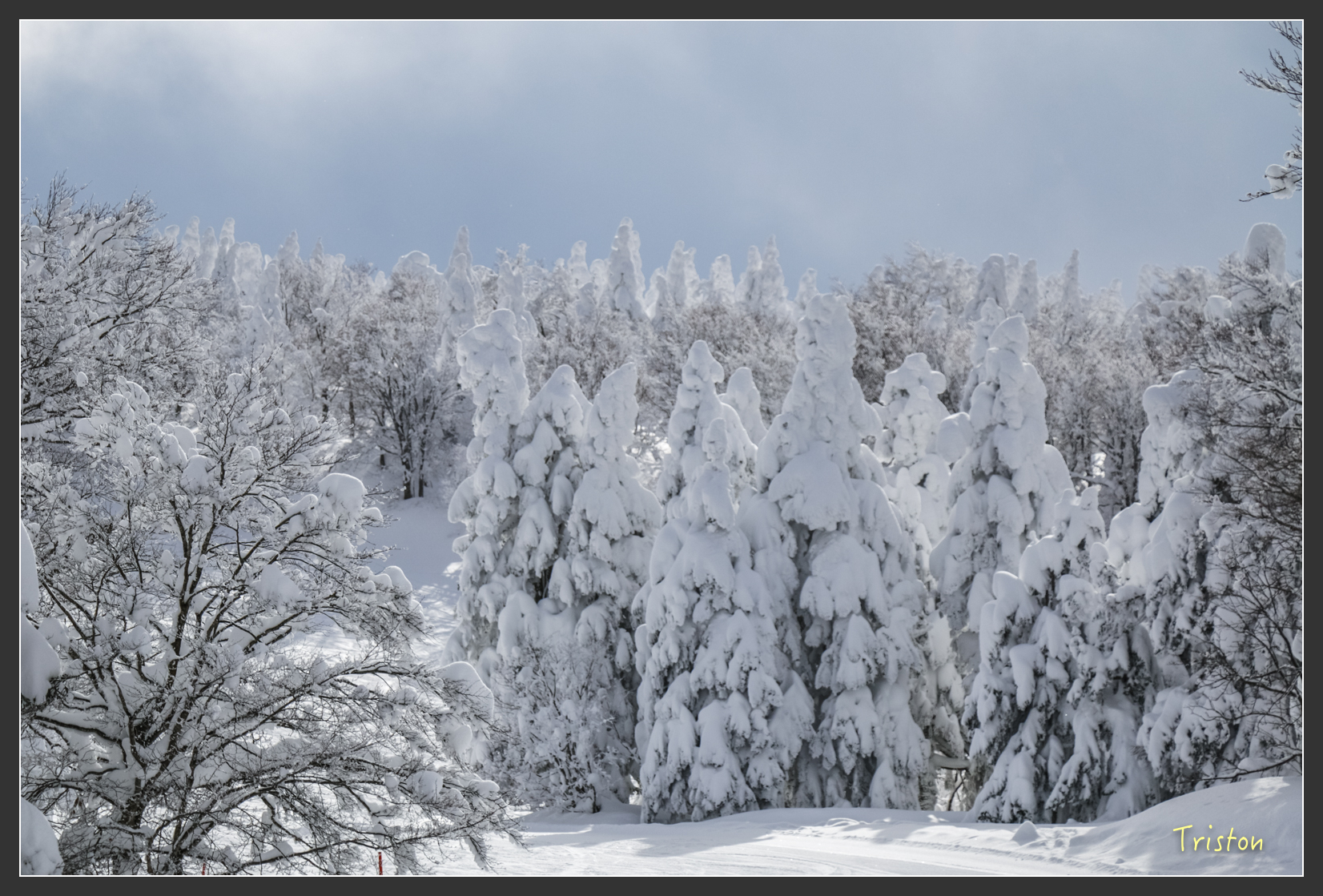 2016ZAO-01758.jpg - 20160131 日本藏王溫泉滑雪親子行