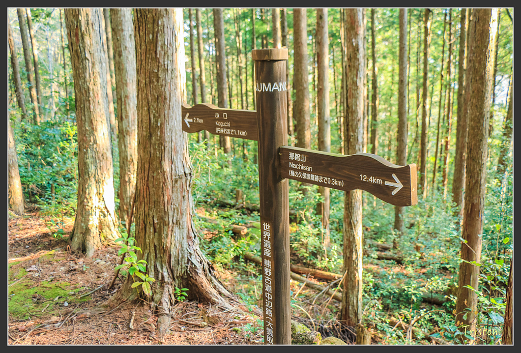 IMG_5352.jpg - 20160323 日本熊野古道健行