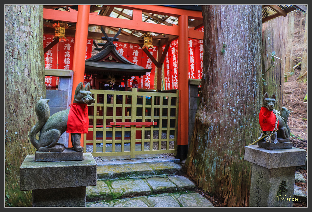 IMG_4484.jpg - 20160323 日本熊野古道健行