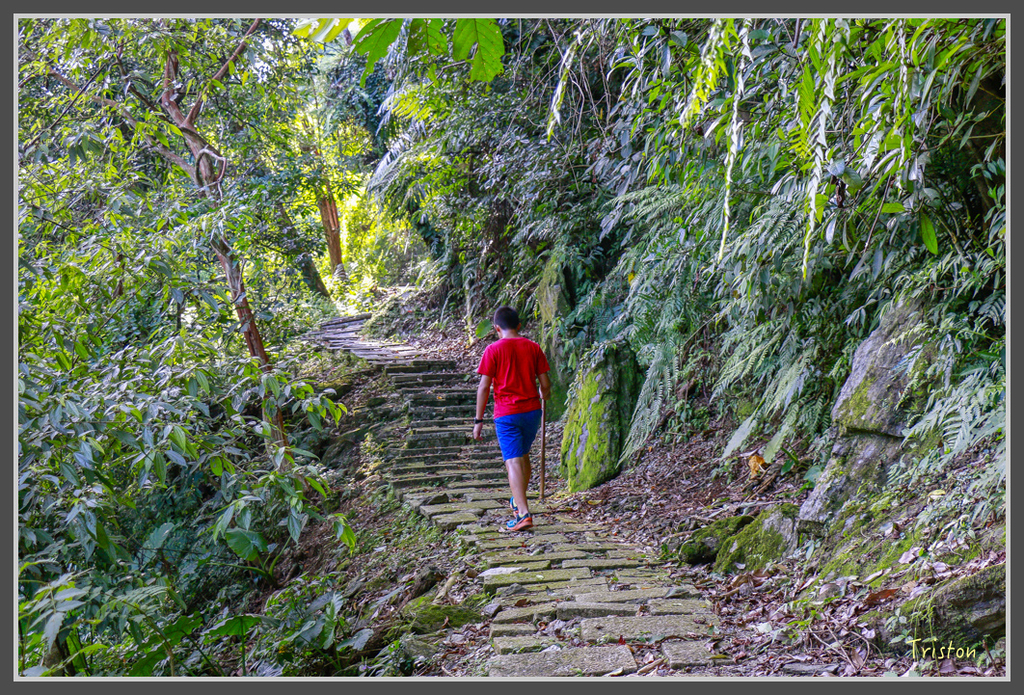 IMG-399.jpg - 20160821 中橫花東之旅