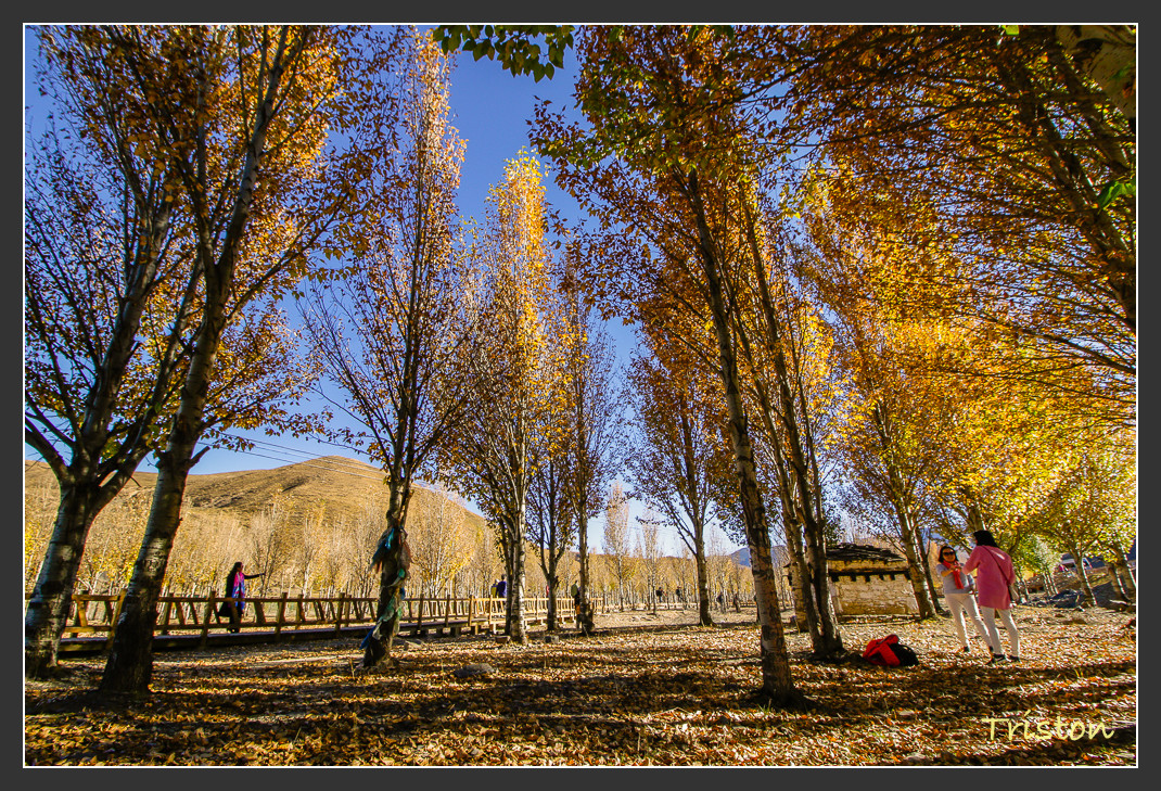 _MG_2397.jpg - 20161013 稻城亞丁