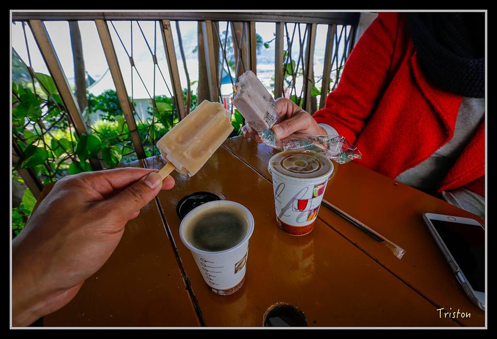 _H1A1576.jpg - 20170117 烏松崙、竹青庭