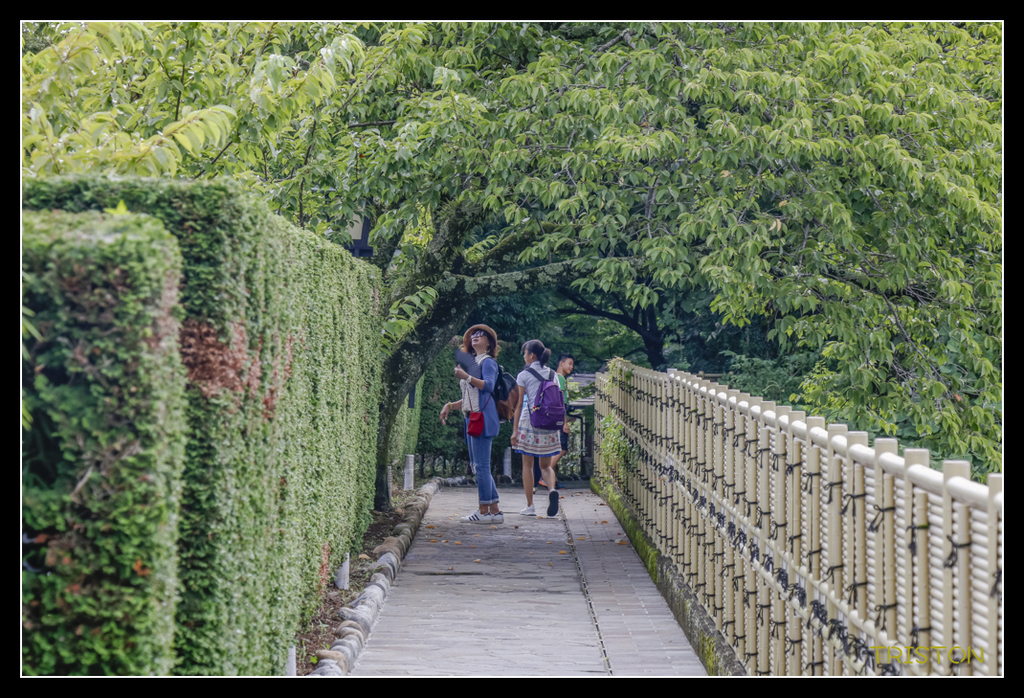 _MG_1219.jpg - 20170702 靜岡東海道之旅