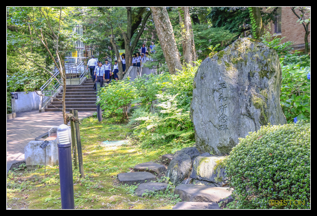 _MG_1821.jpg - 20170702 靜岡東海道之旅