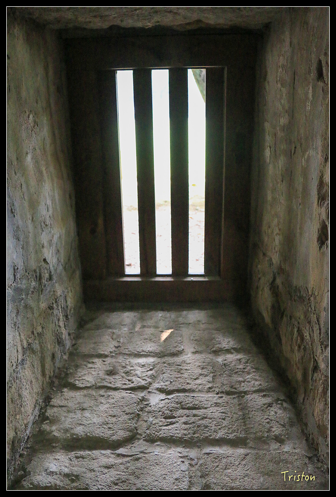 IMG_7760.jpg - 20150717 台北兒童新樂園 六福村