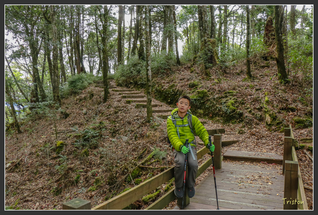 IMG_1128.jpg - 20151219 鳶嘴稍來山、小雪山林道