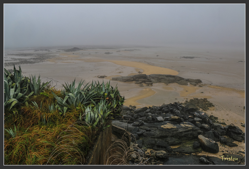 IMG_6938.jpg - 20160409 武夷山之旅