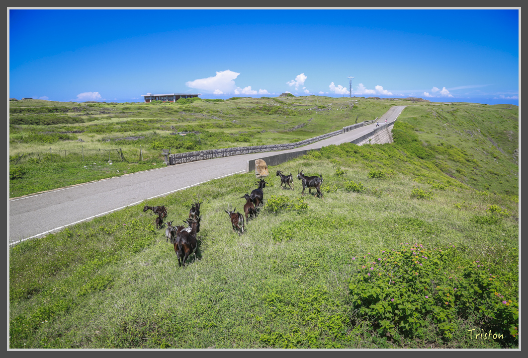 JH1A1522.jpg - 20160701 澎湖