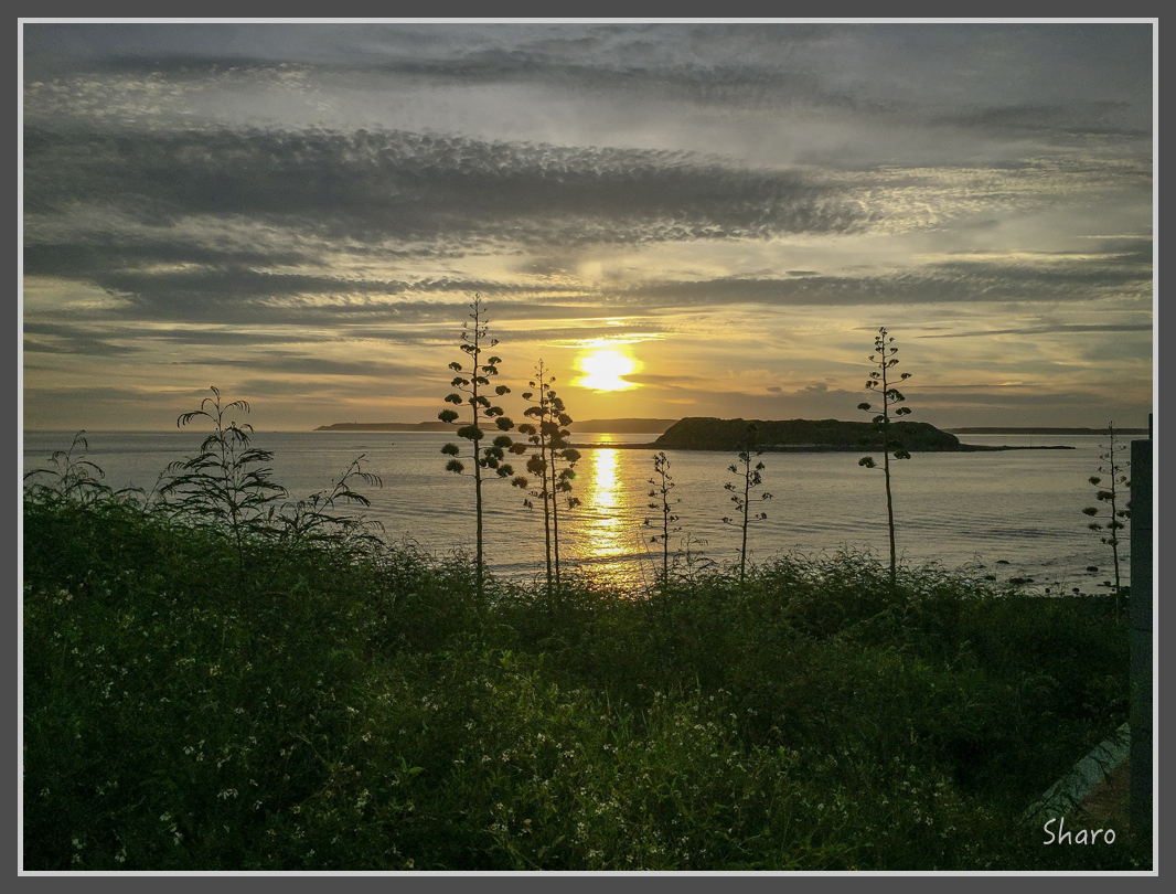 IMG_7693.jpg - 20160701 澎湖