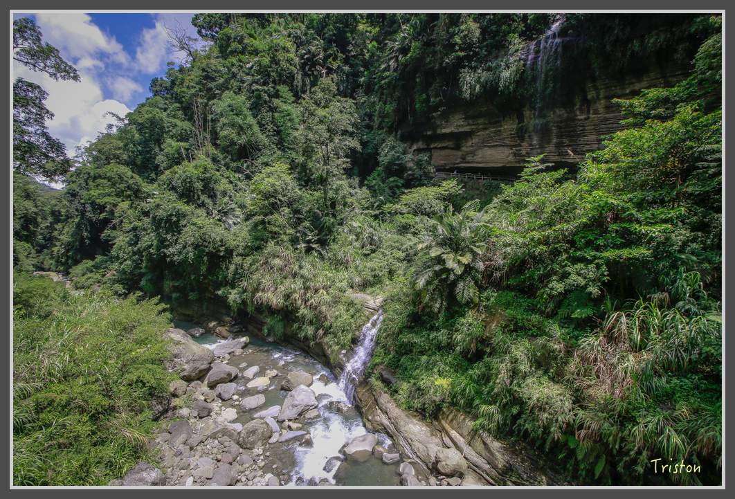 _MG_9175.jpg - 20160716 青年嶺步道