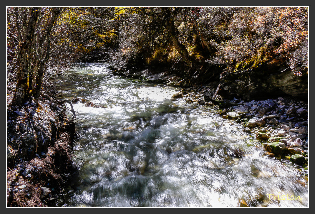 _MG_2198.jpg - 20161013 稻城亞丁