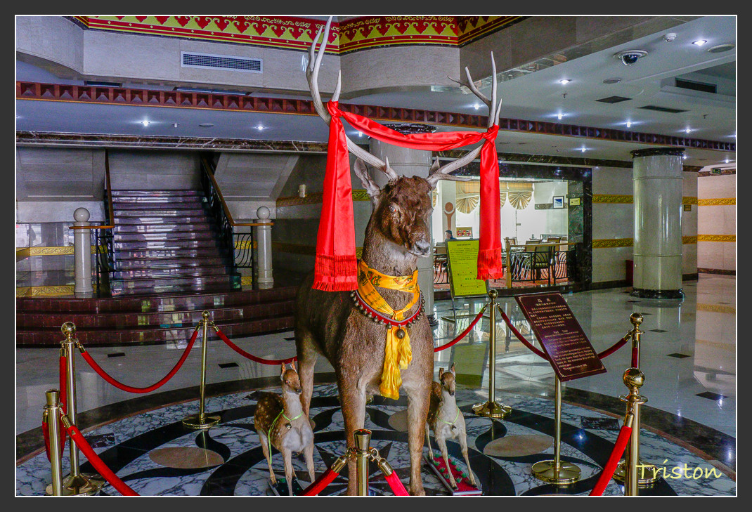 _MG_0526.jpg - 20161013 稻城亞丁