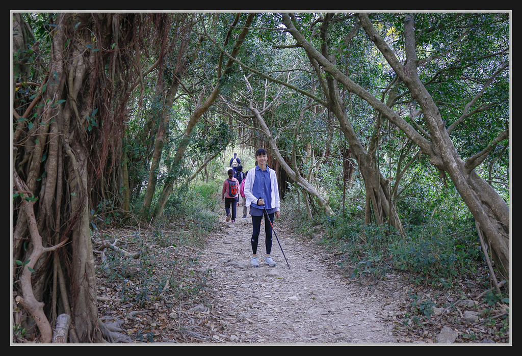 _MG_0018.jpg - 20170205 柴山盤榕雅座路線