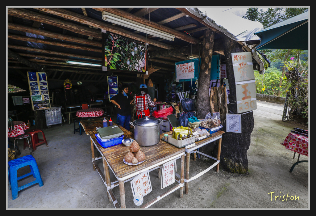 _H1A2455.jpg - 20170311 草嶺