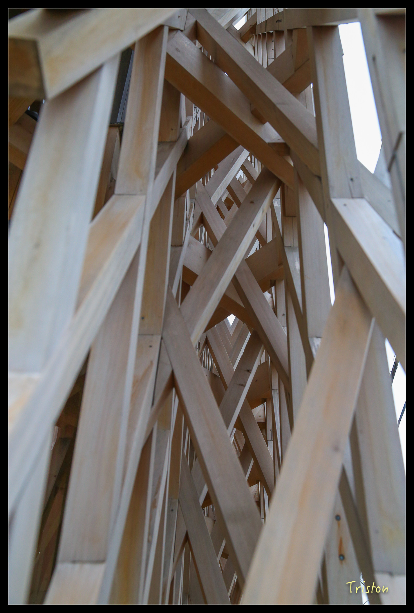 JH1A8957.jpg - 20150628 東京輕井澤日光