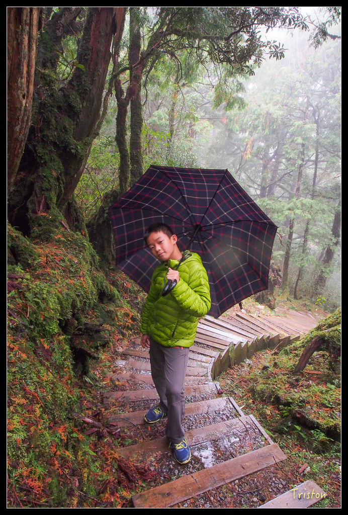 PA240136.jpg - 20151024~25 幾米公園、翠峰湖、翠峰山屋、望洋山步道、山毛櫸步道