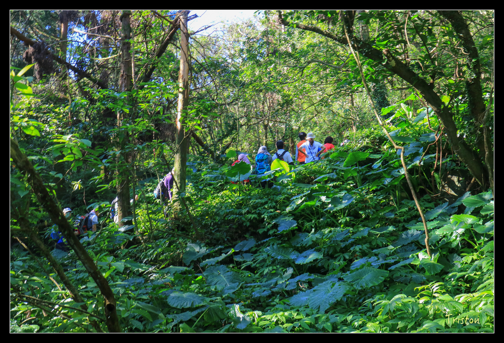 IMG_0494.jpg - 20151107 富士坪古道