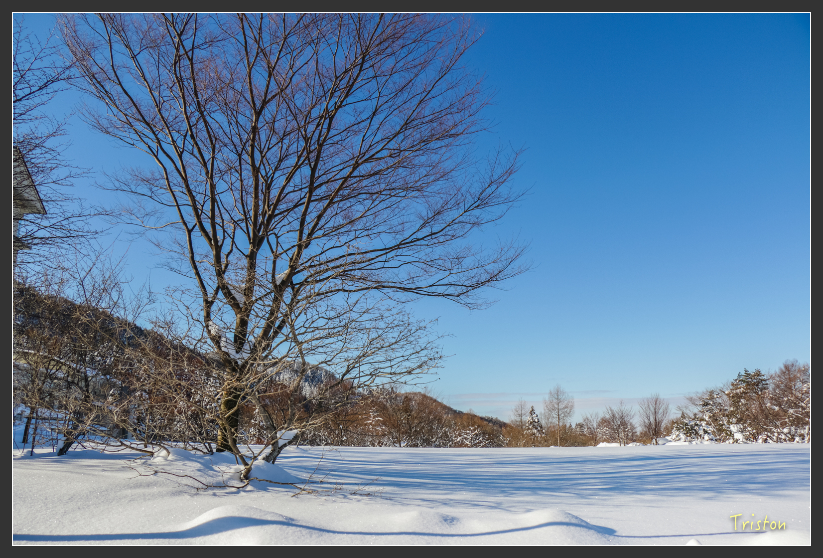 2016ZAO-01492.jpg - 20160131 日本藏王溫泉滑雪親子行