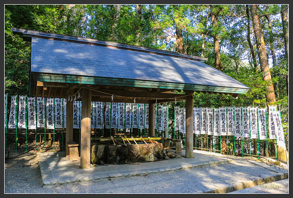 IMG_4929.jpg - 20160323 日本熊野古道健行