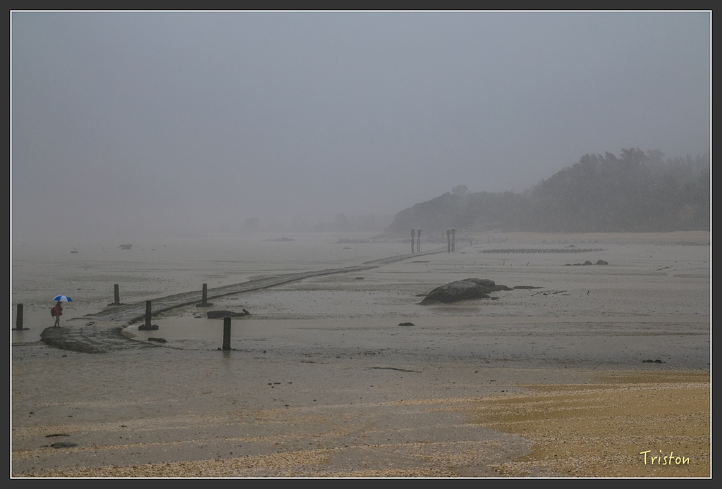 IMG_6942.jpg - 20160409 武夷山之旅