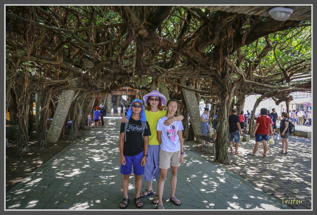 JH1A1597.jpg - 20160701 澎湖