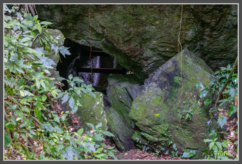 IMG-401.jpg - 20160821 中橫花東之旅