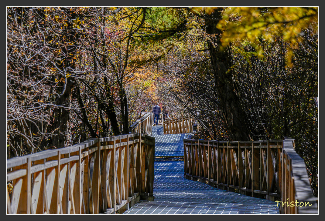 _MG_2283.jpg - 20161013 稻城亞丁