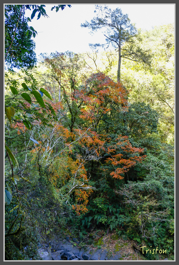 _MG_0381.jpg - 20161203 鎮西堡