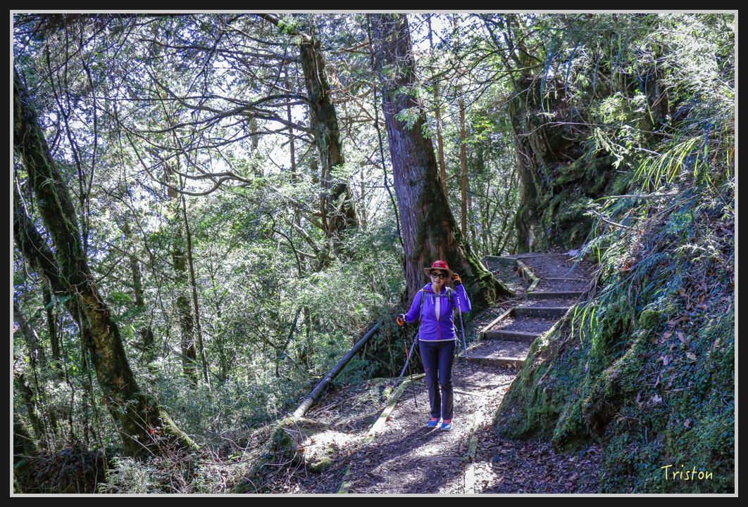 _MG_0060.jpg - 20161226 大塔山