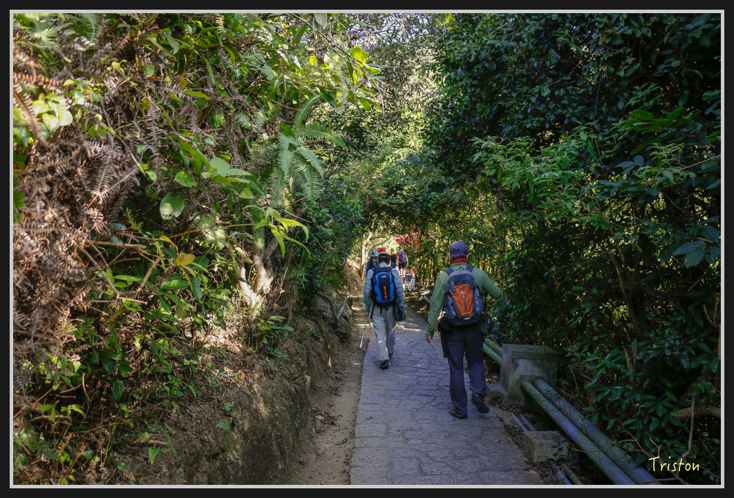 0040.jpg - 20170107 香港健行