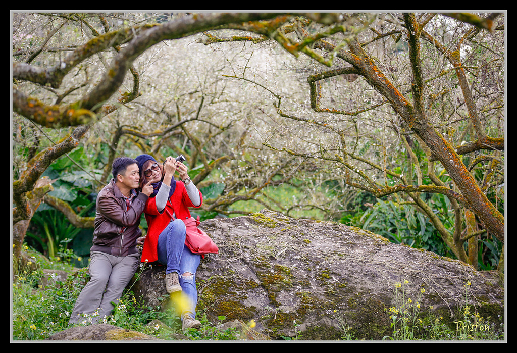 _H1A1336.jpg - 20170117 烏松崙、竹青庭