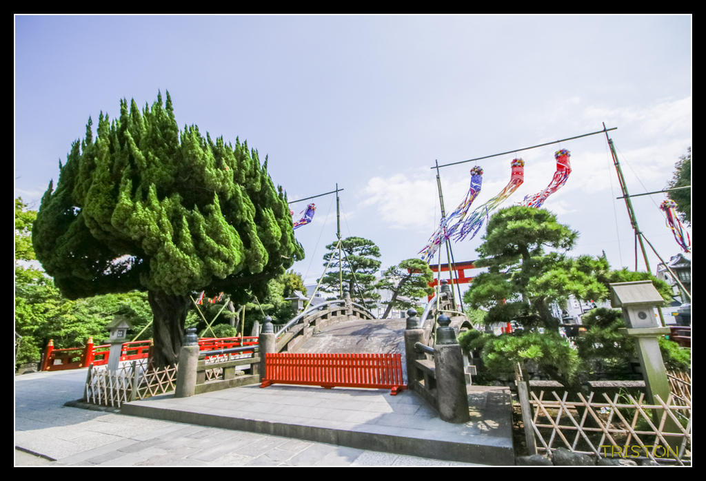 _MG_1576.jpg - 20170702 靜岡東海道之旅